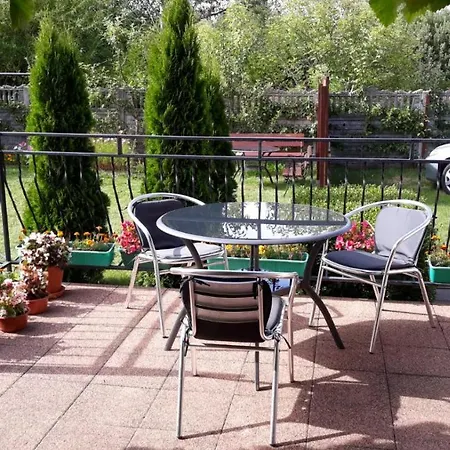 Homestay Dom Goscinny Oleni *